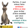 Etre un Âne .png