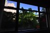 view.jpg