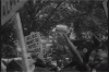 giphy-7.gif