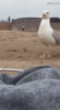 tumblr_o8o4znrICA1ukldkho1_400.gif