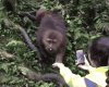 tumblr_o61up5EcCe1ukldkho1_r1_400.gif