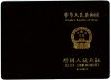 working visa front - old.jpg