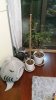 20161129_212940.jpg