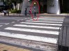 Zebra1.jpg