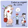 ceta.jpeg