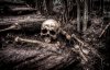 skull-2525192__340.jpg