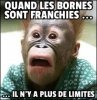 9578CFFD-2FDF-4190-B28C-3CC954E483F8.jpeg