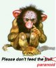 dont-feed-the-troll.jpg