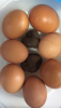 1547217102910.png