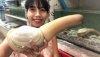 Geoduck 02.jpg