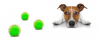 1606309196448.png
