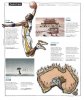 dCourrier_International_-_16_D_cembre_2020b.jpg