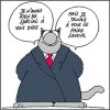 chat-geluck.jpg