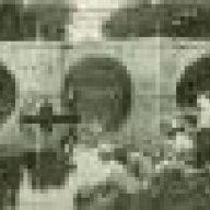 lsm79