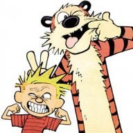 CalvinHobbes