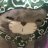 panpan