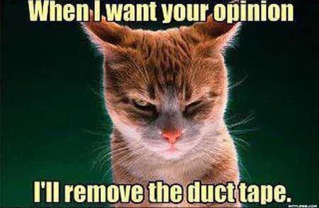 remove-the-duct-tape-cat-meme.jpg