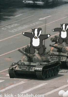 panda.gif
