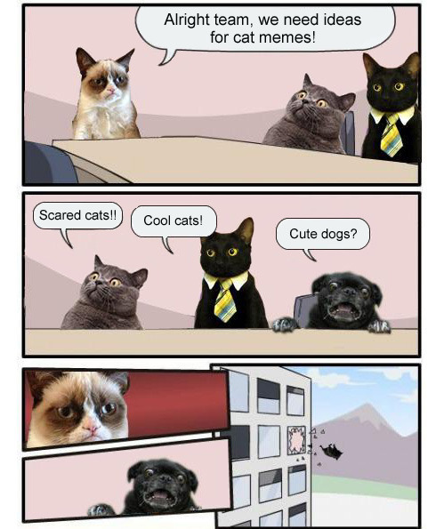 VXbkTNAuhC.jpg