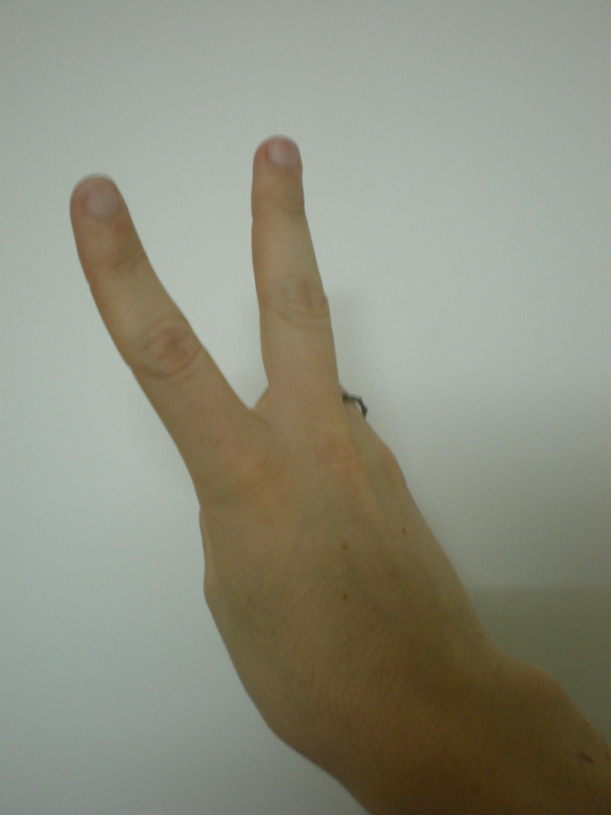 dscn1185.jpg