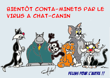 chat_fybe_0206_c.png