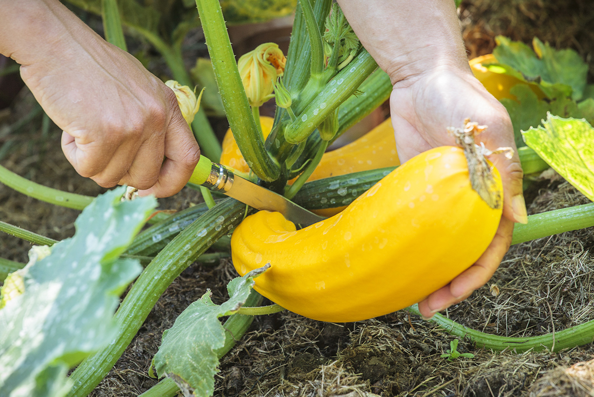 www.detentejardin.com