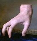 6415274_p.jpg