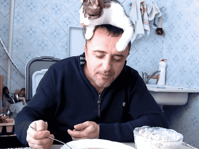 a.gif