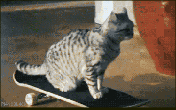 slide_303212_2573045_free.gif