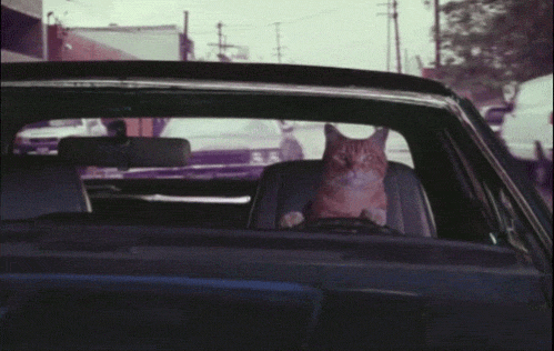 anigif_enhanced-buzz-22290-1367856789-2.gif
