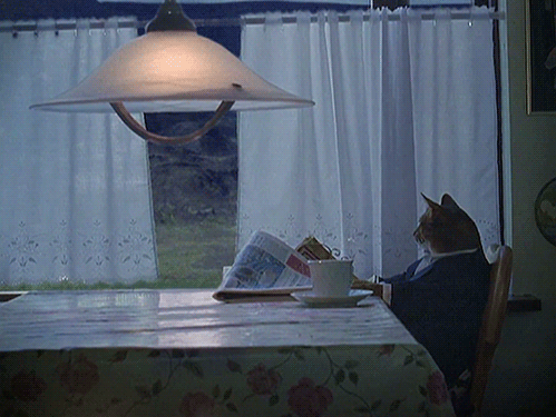 tumblr_mk9wg39zV81s0kkkio1_500.gif