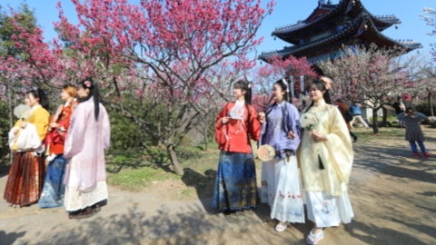 www.shine.cn