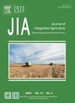 www.sciencedirect.com