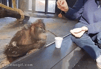 5eef6257gw1ezn6bk1tj7g209606b1kz.gif