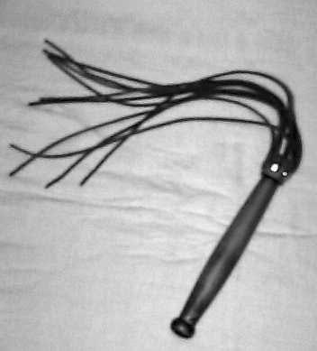 LE_MARTINET.jpg
