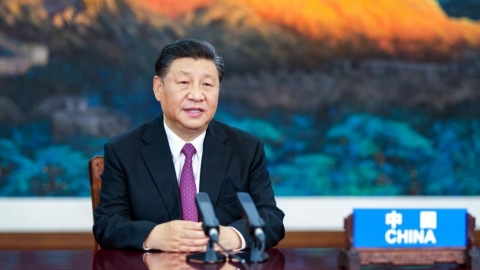 www.shine.cn