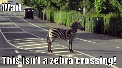 hE3D5E29E