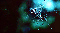 Opening-Credits-penny-dreadful-37035346-245-138.gif