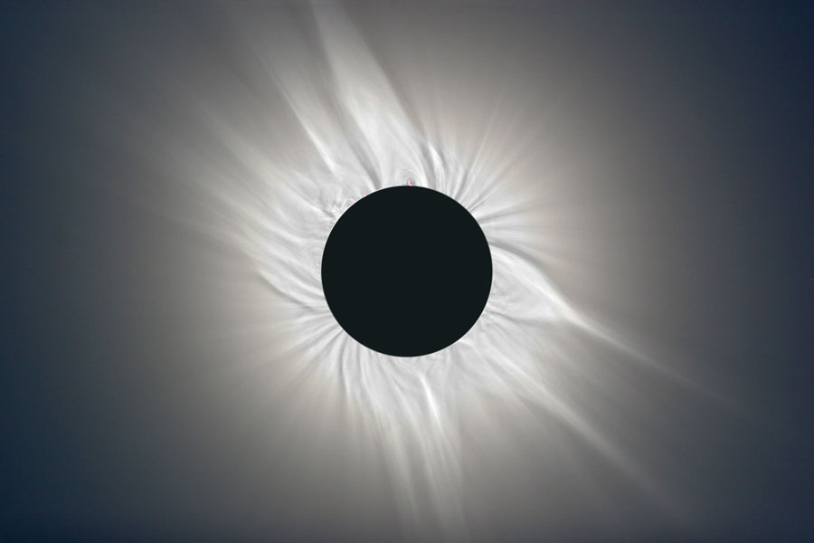 corona_vangorp.jpg