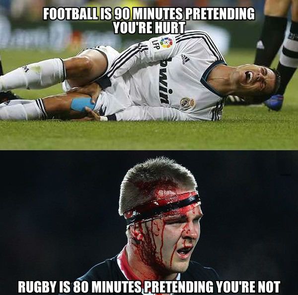 9550a4ab2cc735ec0f512c12c21f3769--rugby-funny-rugby-memes.jpg