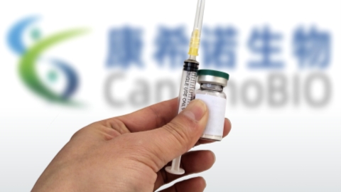 www.shine.cn