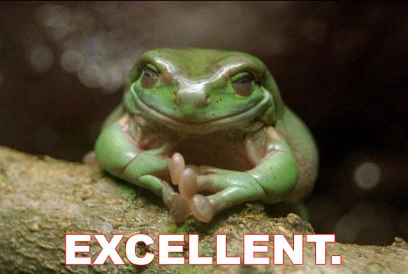 Excellent.jpg