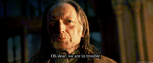 tumblr_lpmvceeHdN1r10t78o1_500.gif