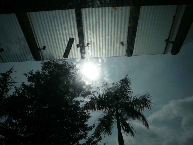p1070814.jpg