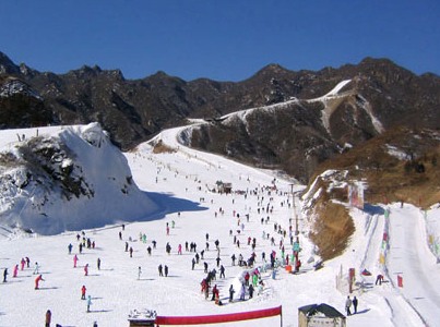 374181.jpg