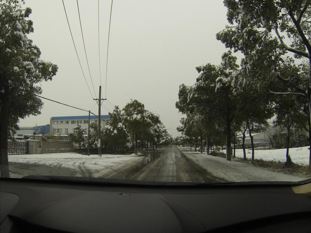 5-G0010093.jpg