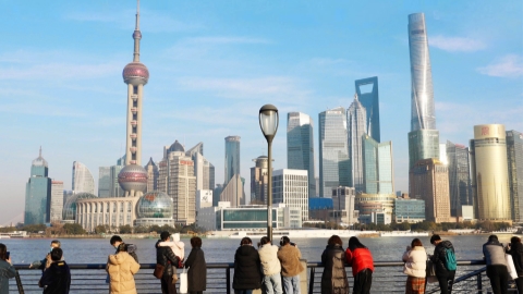 www.shine.cn