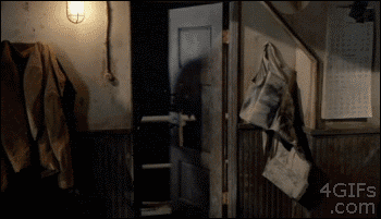 OJ-badge-guns.gif
