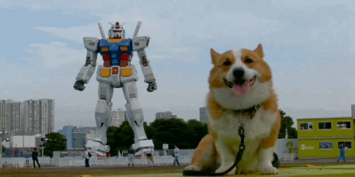 giphy.gif