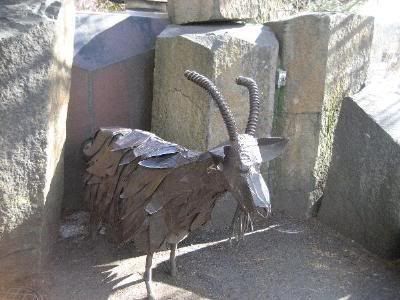 goat.jpg